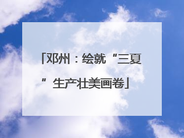邓州：绘就“三夏”生产壮美画卷